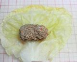 あまり野菜で簡単なロールキャベツ　作り方4写真