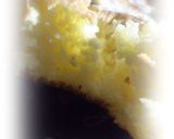 ふわふわホットケーキ作り方5写真