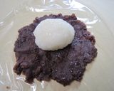 簡単お手軽☆ごはんと白玉粉でおはぎ作り方6写真