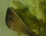 カレー粉で簡単☆揚げないサモサ作り方1写真