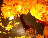 焦がし醤油でキムチチャーハン作り方4写真