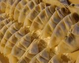 我が家の餃子作り方4写真