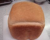 チキンのトマト煮作り方4写真