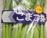 青菜☆冷凍作り方4写真