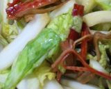 残った白菜消化★　あえるだけの白菜サラダ作り方6写真