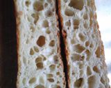 オートリーズで作る強力粉のフランスパン作り方31写真