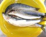 ～鰯の手開き～簡単フライ作り方1写真