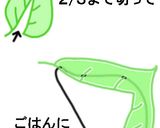メロメロなツタージャ♥キャラ弁♥ポケモン作り方2写真