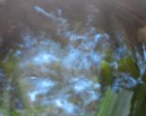 ✿春が旬✿茎わかめで簡単おつまみ♬作り方3写真