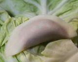 ヘルシー韓国風餃子「マンドゥ」作り方5写真