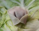 ヘルシー韓国風餃子「マンドゥ」作り方6写真