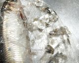春告魚♬ニシンの下処理♬尾頭付き➕️寄生虫作り方9写真