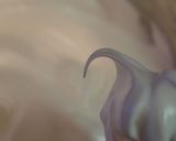 濃厚ガトーショコラ♪作り方6写真
