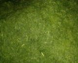 美味しい特上煎茶の製造から試飲まで作り方1写真