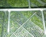 美味しい特上煎茶の製造から試飲まで作り方3写真