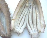 ほしなまこ　姿煮　日の丸仕込み作り方4写真