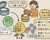 豚の冷しゃぶ丼・香味ネギと大根おろし添え作り方24写真