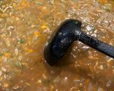 夏野菜たっぷり🍛フライパンでキーマカレー作り方13写真