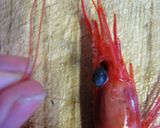 プリッ！お頭付き甘えびの海鮮丼作り方2写真