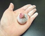 小桜餅作り方10写真