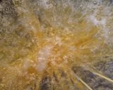 中華鍋だけで作る簡単ナポリタン作り方1写真