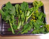 菜の花のサクサク天ぷら作り方1写真