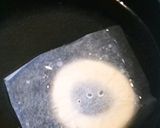 プレーンベーグル♪作り方15写真