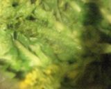 カレー風味のパエリア☆with菜の花作り方7写真