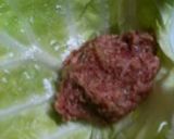 ロールキャベツのトマト煮込み作り方1写真