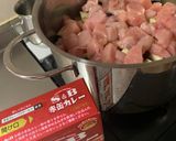 鶏むね肉トマトとナスの無水カレー！夏野菜作り方2写真