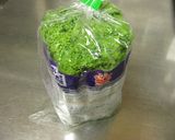 菜の花は、元気にしてから茹でましょう作り方1写真
