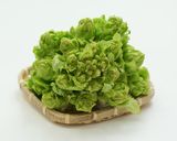 児菜(あ~さい) DE フリッター作り方1写真
