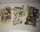 ふわふわ我が家のハンバーグ♪きのこソース作り方4写真