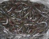 今が旬‼いかなごのくぎ煮作り方1写真