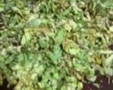 ふきのとう味噌作り方2写真