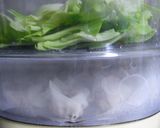 さっとできて簡単♪おいしいシュウマイ作り方4写真