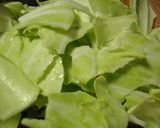 ハンバーグが変身！お野菜いっぱい蒸し料理作り方3写真