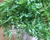 ♻️保存法｜シャク/コジャク🌿山菜大量の時作り方7写真