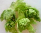 ふきのとう＆豆腐のグラタン。作り方1写真