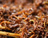 いかなごの釘煮作り方4写真