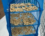 煎り落花生🥜作り方3写真