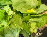 サラダ菜とツナのふわ卵炒め作り方5写真