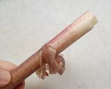 ずいきのアク抜き作り方1写真