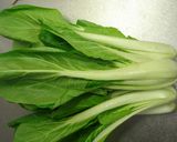 白菜(しろな)のからし醤油★青梗菜でも♪作り方1写真