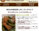 厚揚げといんげんの煮物作り方6写真