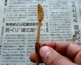 つくしの甘辛炒め作り方1写真
