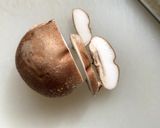 干し椎茸　生の椎茸から作るから安くて簡単安心作り方2写真