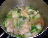 鶏肉と白菜のみぞれ煮作り方7写真