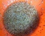 ★焼き肉屋さん風★簡単チョレギサラダ♪作り方2写真