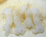 しらたきとチーズの薄揚げきんちゃく焼き作り方2写真